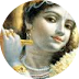 Kumar Rajnish